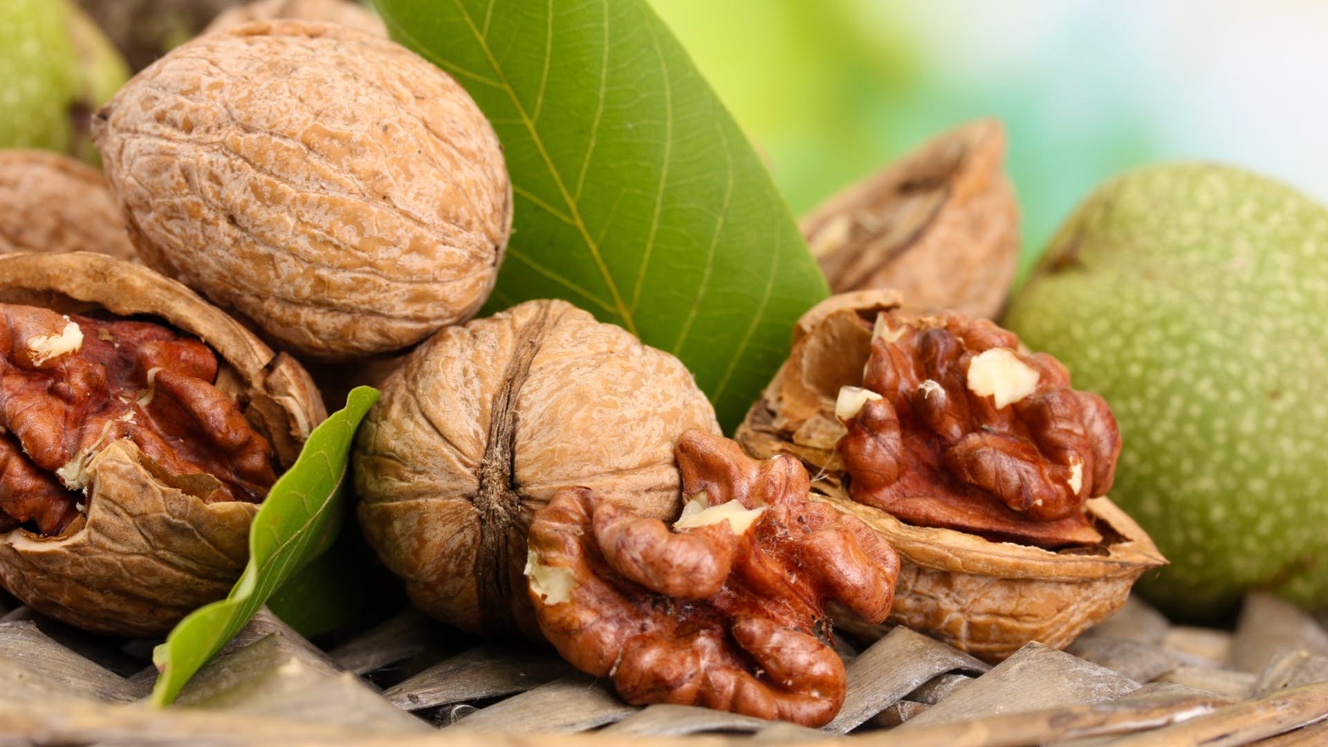 خواص گردو تازه چیست و خاصیت های درمانی آن