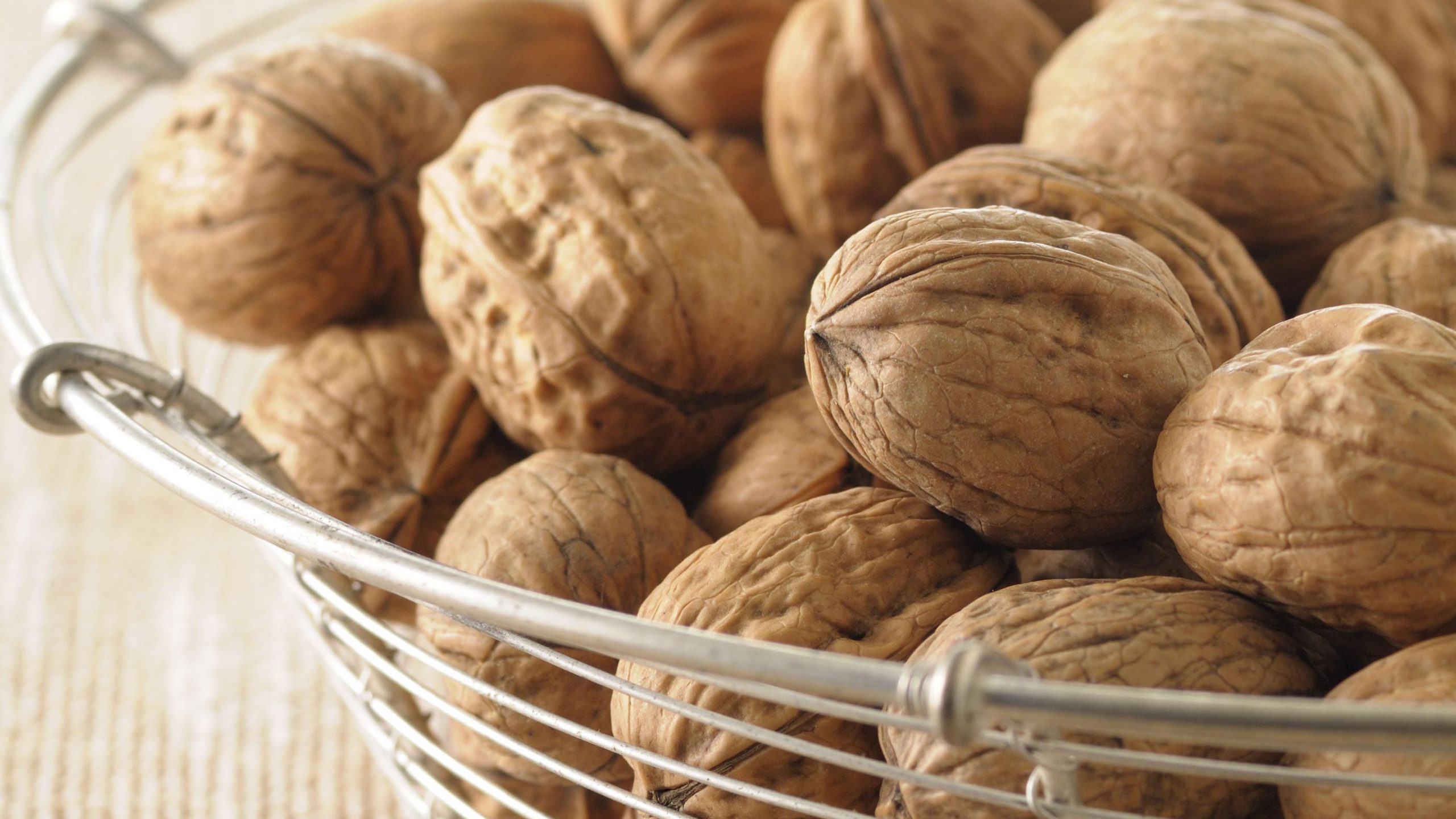 همه چیز درباره درخت گردو سوزنی