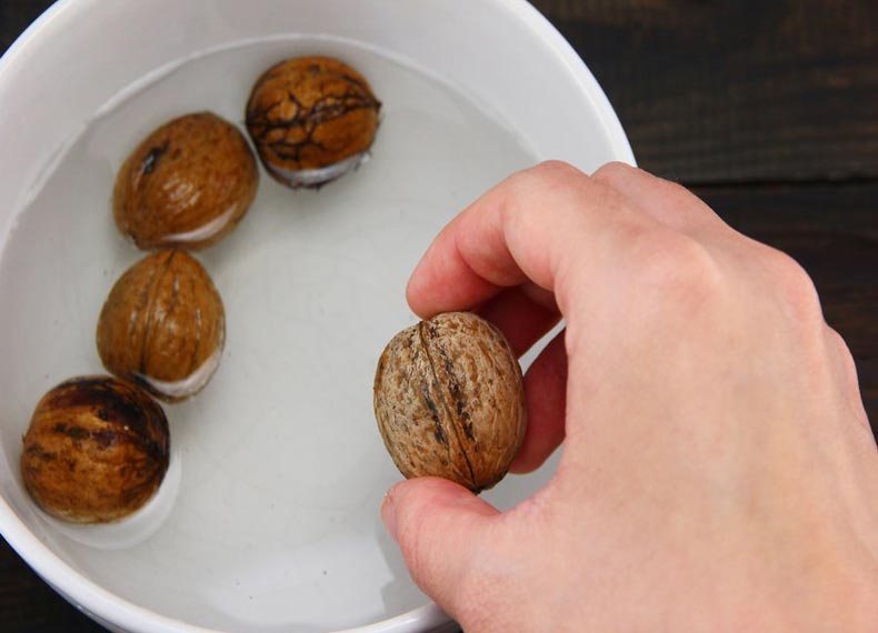  چرا پرورش درختان گردو را انتخاب می کنیم؟