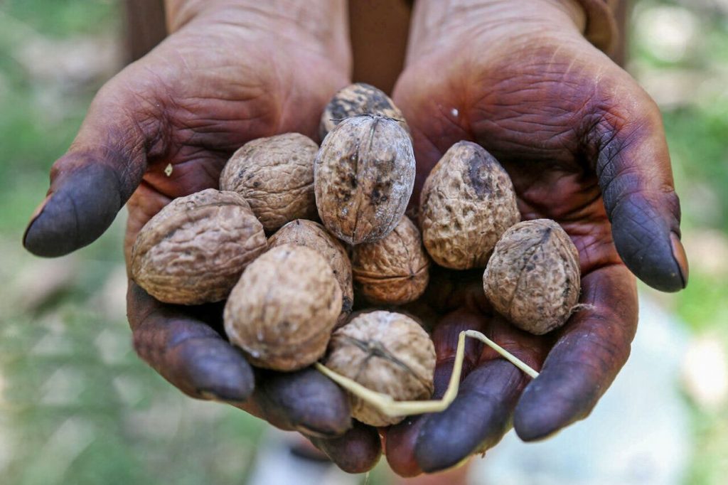 پاک کردن لک گردو