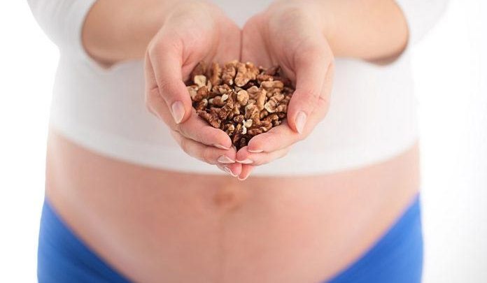 خواص گردو در دوران بارداری