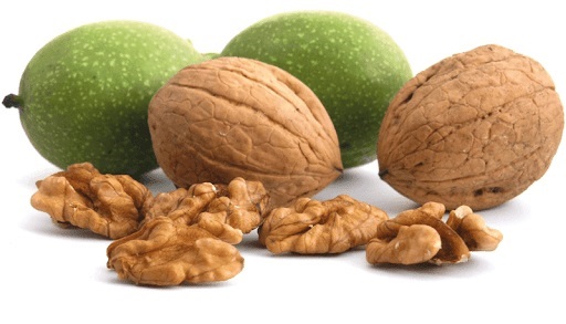 فاصله مناسب کاشت بین درخت و نهال گردو تویسرکان