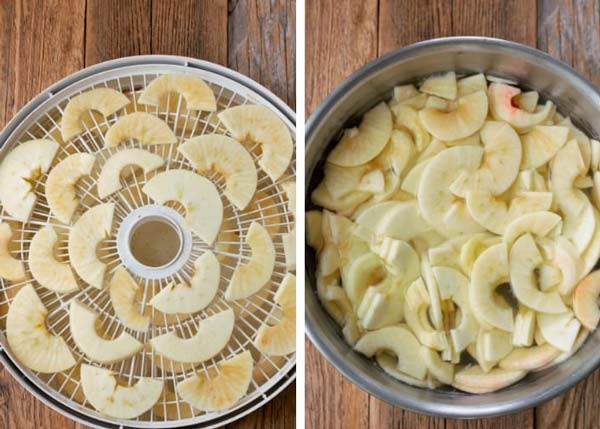 نحوه خشک کردن سیب با دستگاه میوه خشک کننده